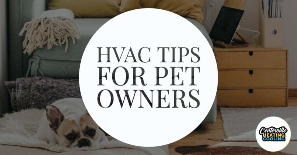 HVAC Maintenance For Pet Owners Centerville Heating & Cooling