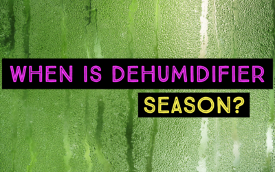 WHEN IS DEHUMIDIFIER SEASON?
